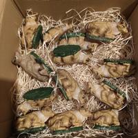 vecchie statuine presepe buoi in bachelite