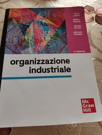 Organizzazione industriale