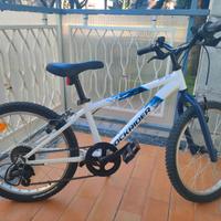 BICICLETTA BAMBINO 20 pollici