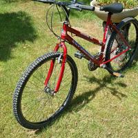 Bicicletta