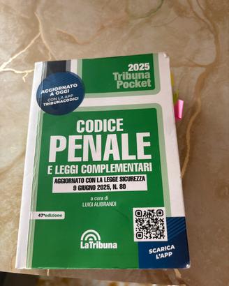 codice penale 2025