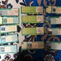 12 Carte Kinder Cereali anni '90