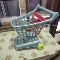 Carrello spesa