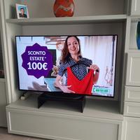 TV Sony 55 pollici 