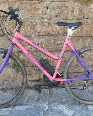 Bicicletta mountain