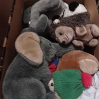 scatolone di peluche