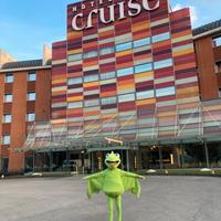 Mascotte costume di carnevale professionale