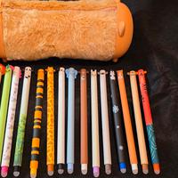 15 penne cancellabili con astuccio
