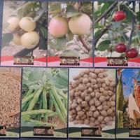 Sette cartoline Biodiversità Benessere Marche