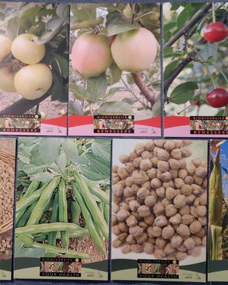 Sette cartoline Biodiversità Benessere Marche