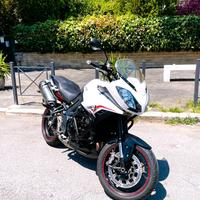 Triumph Tiger - 2013