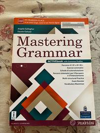 Libro mastering grammer