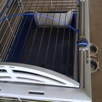 gabbietta criceti conigli