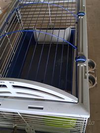 gabbietta criceti conigli