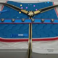 Attrezzatura cavallo campane e pettorale