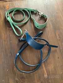 Collare e guinzaglio piccolo levriero italiano