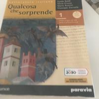 Libri scolastici