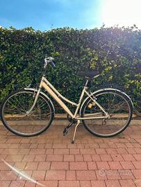 Bicicletta da donna “Iride” grigia