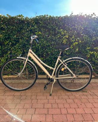 Bicicletta da donna “Iride” grigia
