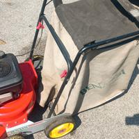 Raccoglitore di foglie Benassi 