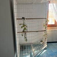 Gabbia per geandi pappagalli