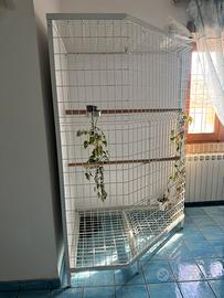 Gabbia per geandi pappagalli