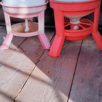 Serbatoio acqua e mangime per galline