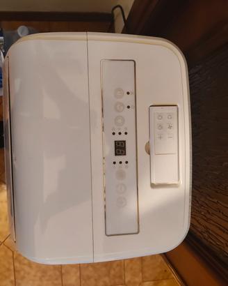 Condizionatore portatile 