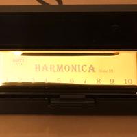 Armonica dorata a bocca a 10 fori di emissione