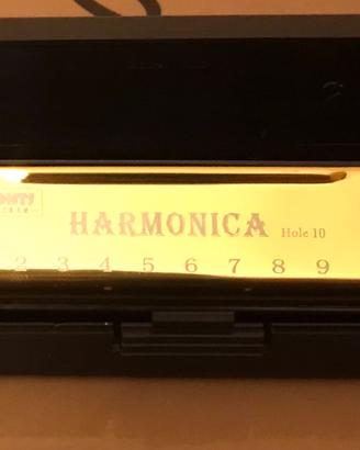 Armonica dorata a bocca a 10 fori di emissione