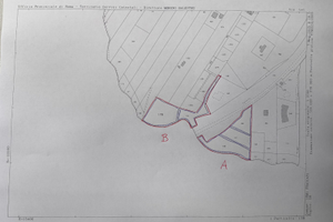 Terreno agricolo/uliveto