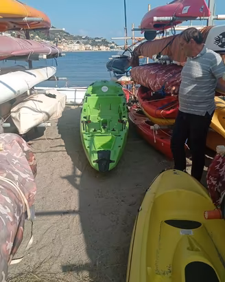 trikken 405 verde
