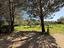 Immagine 26