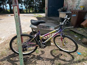 Bicicletta. A 6 marce