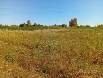 Terreno agricolo Villasor