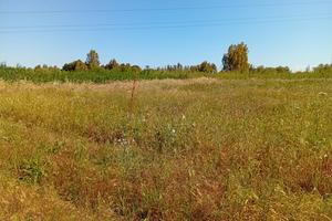 Terreno agricolo Villasor