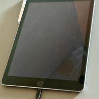 IPAD Quinta Gen 128 gb WifI + Cellular