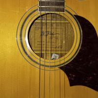 chitarra acustica BC Rich re-30