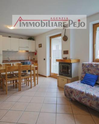 Appartamento Peio [aff. Arnica] (Celledizzo)