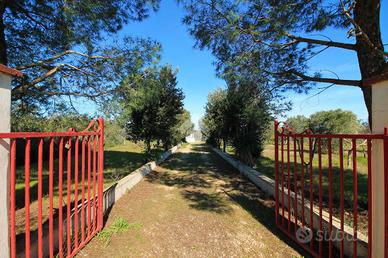 VILLA SINGOLA A OSTUNI