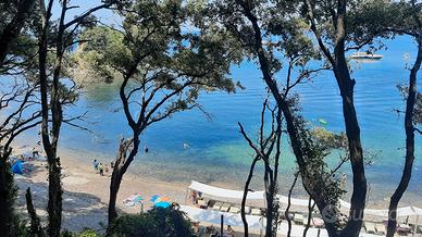 Autista Patente A,B,D + Cqc Persone