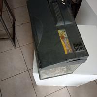 Vaschetta per pesci