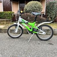 bicicletta bambino