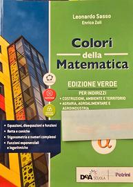 Colori della matematica 3 edizione verde