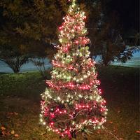 Albero di Natale 210cm con 600 luci