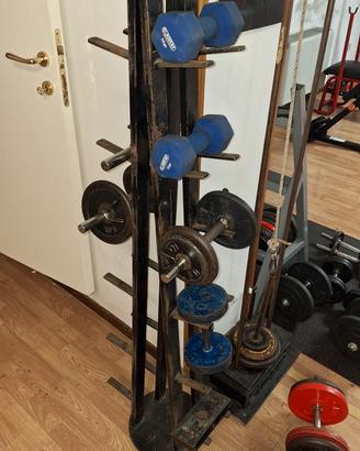 Rastrelliera manubri palestra 