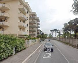 Nettuno monolocale con giardino privato