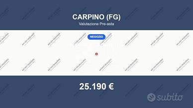 Immobile in asta di 42 m² a Carpino