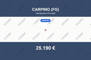 Immobile in asta di 42 m² a Carpino