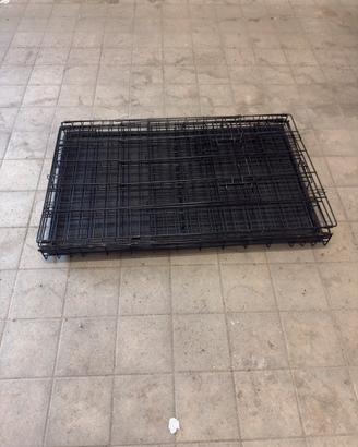 Kennel